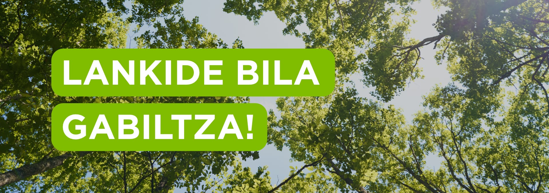 Behatokia_lankide_bila_gabiltza Behatokia_lankide_bila_gabiltza